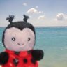 🐞 profil fotoğrafı