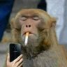 Miyendis's profile picture