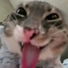 Profilbild von Larry