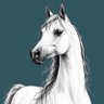 منــى🔗🇴🇲✨.'s profile picture