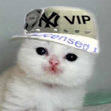 rowny kotek's profile picture