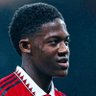 (fan)UTDMAIN's profile picture