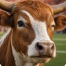Hook Em 的头像