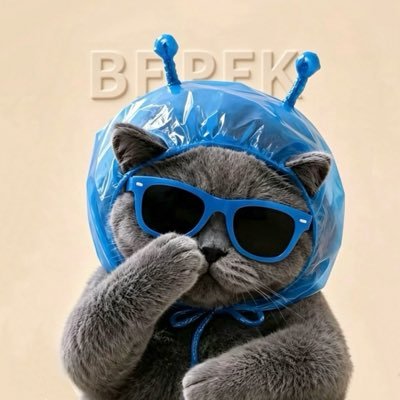 Yofan_whensbdie's profile picture