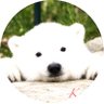 Profilbild von Yuriko Oshima 🐈