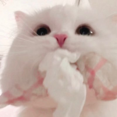 TuTsnowi's profile picture