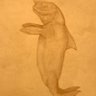Profilbild von happy creepers (Preserved In Amber)