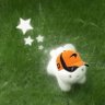 natu 的头像