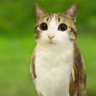 noted's profile picture