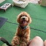 Mimi 的头像