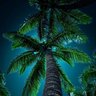 Фото профиля AFOO