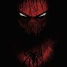 Profilbild von Spider 🕸️