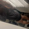 Ayla 的头像