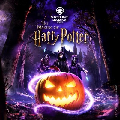 wbtourtokyo's profile picture