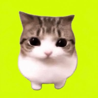 dailymeowpin's profile picture