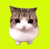 Meowpin profil fotoğrafı