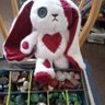 Profilbild von Lissa Blood