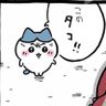 Profilbild von このタコ‼️