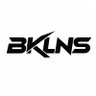 BakulNasi's profile picture