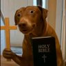 Iamblessed 的头像