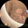 A's profile picture