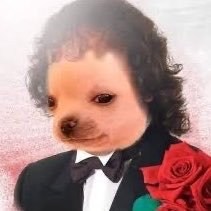 RobinsonATrs's profile picture