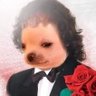Profilbild von Rob