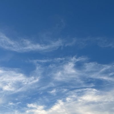 __fluuorescent's profile picture