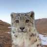 Фото профиля CAM 🎷🐈⬛