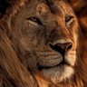 Profilbild von Tugazay