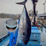 漁師ユウスケ profil fotoğrafı