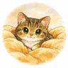 Фото профиля じゅんじゅん