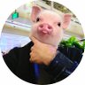 bigbetdoink 的头像