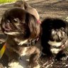 🍅💚りさ🎲🗝💸 profil fotoğrafı