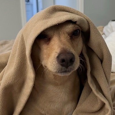 MamaCurve's profile picture