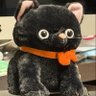 🇯🇵黒みつ🍊 profil fotoğrafı