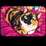 Koko the cat's profile picture