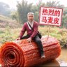 Tobin 的头像