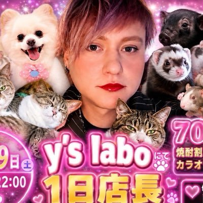 endy_yokosuka's profile picture