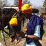 Gurtejsingh profil fotoğrafı