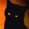 🍊🐱Naranjos@🐱🍊 profil fotoğrafı