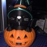 Shoeman's profile picture
