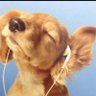 david's profile picture