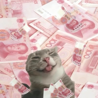 是只小珈's profile picture