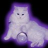HollyIsBlooming's profile picture