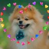Profilbild von aries
