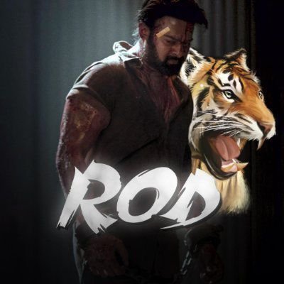 RodRaisar's profile picture