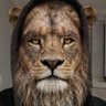 Фото профиля Info-Lion