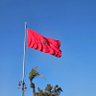 Profilbild von Tetouan lion