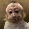 Monkey D. Drizz profil fotoğrafı